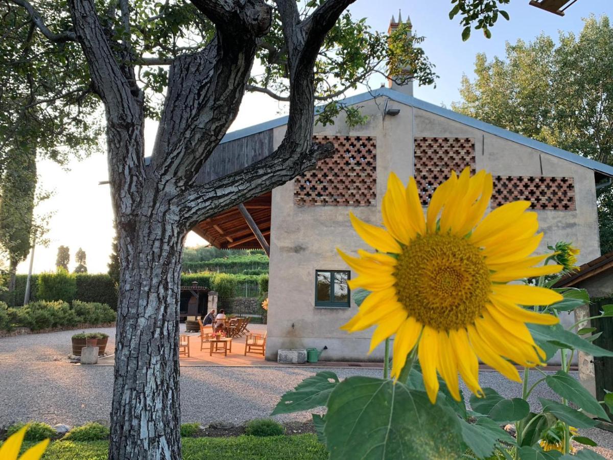 Domus Cariana Villa San Pietro in Cariano Eksteriør bilde