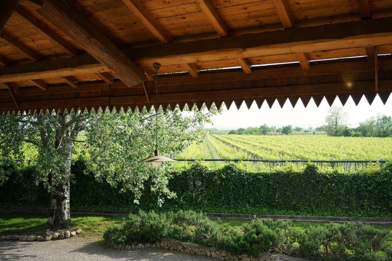 Domus Cariana Villa San Pietro in Cariano Eksteriør bilde