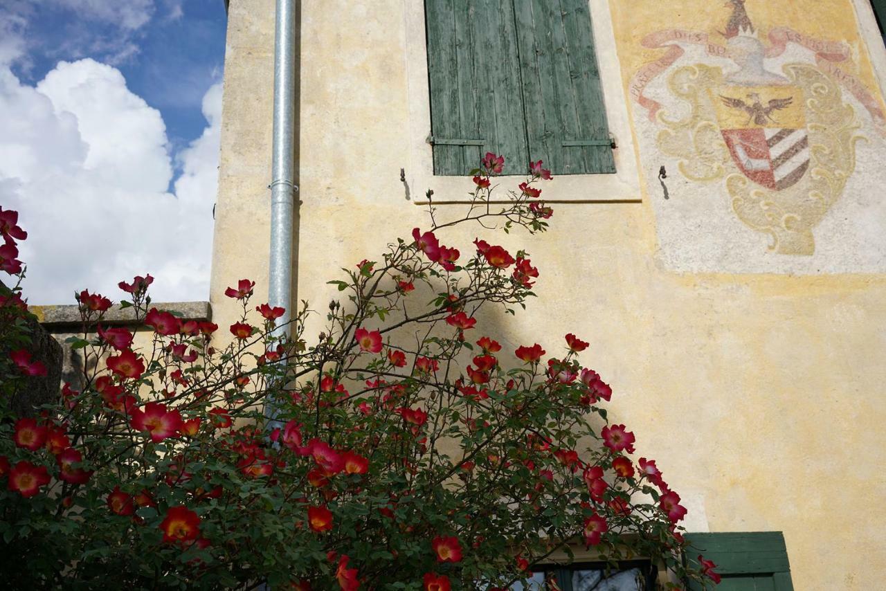 Domus Cariana Villa San Pietro in Cariano Eksteriør bilde
