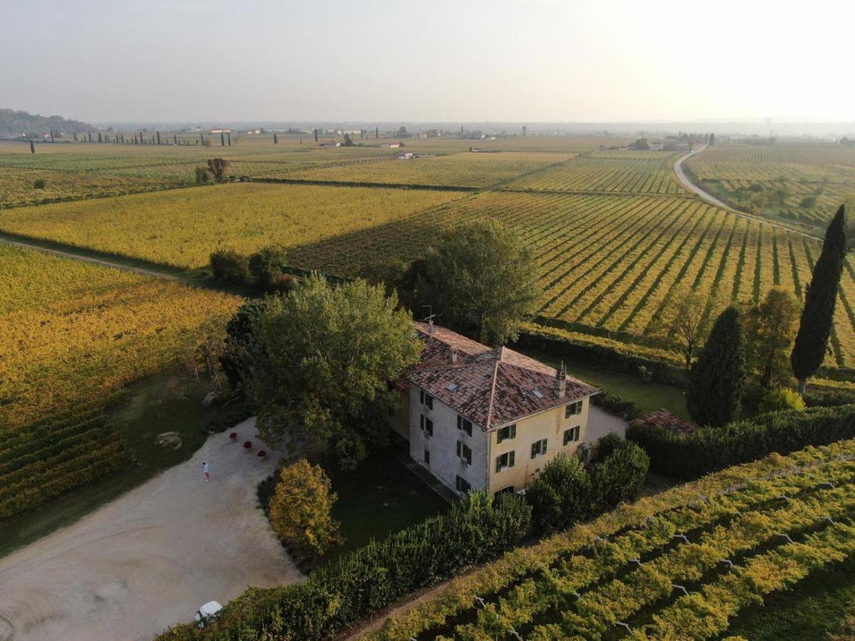 Domus Cariana Villa San Pietro in Cariano Eksteriør bilde